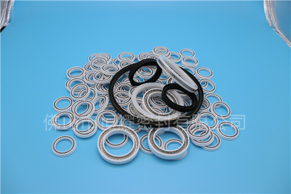 HOB、HVB孔用泛塞封 (9)