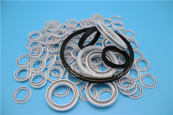 HOB、HVB孔用泛塞封 (12)