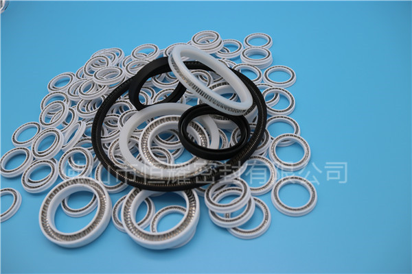 HOB、HVB孔用泛塞封 (13)