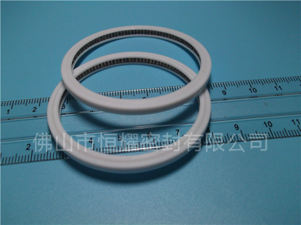 HVF、HVG端面內(nèi)、外向泛塞封 (4)