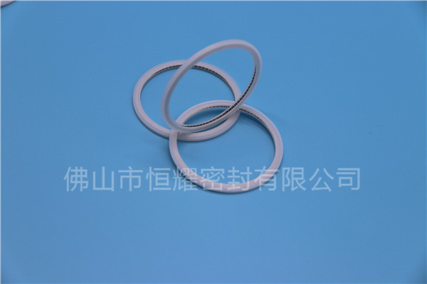 HVF、HVG端面內(nèi)、外向泛塞封 (21)