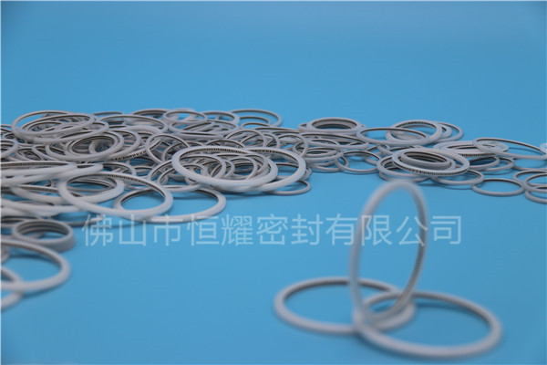 HVF、HVG端面內(nèi)、外向泛塞封 (23)