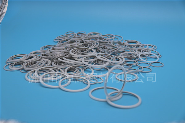 HVF、HVG端面內(nèi)、外向泛塞封 (24)