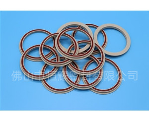 食品機(jī)械密封件 (31)