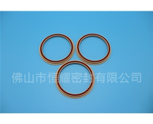 食品機(jī)械密封件 (25)