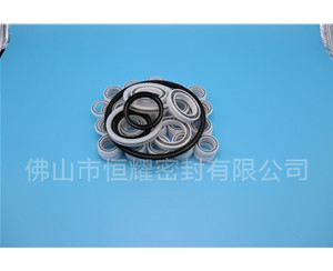 HOB、HVB孔用泛塞封 (7)