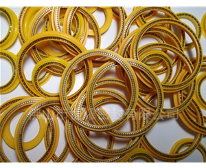 HOD、HVD旋轉(zhuǎn)泛塞封 (5)