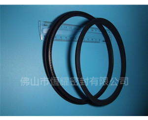 HOD、HVD旋轉(zhuǎn)泛塞封 (15)