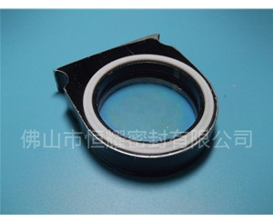 HVF、HVG端面內(nèi)、外向泛塞封 (2)