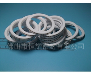 HVF、HVG端面內(nèi)、外向泛塞封 (8)