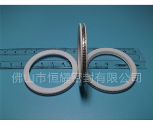 HVF、HVG端面內(nèi)、外向泛塞封 (10)