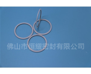 HVF、HVG端面內(nèi)、外向泛塞封 (20)